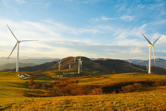 Air-quality sensors in contrasting environments